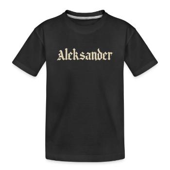 Fontaine gothique Aleksander - T-shirt bio Premium Enfant - noir - Devant