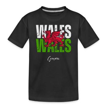 Drapeau du Pays de Galles, fierté galloise - T-shirt bio Premium Enfant - noir - Devant