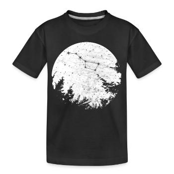 Großer Bär Wagen Sternbild Konstellation - Kinder Premium Bio T-Shirt - Schwarz - Vorne