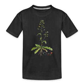 Bourse de berger (Capsella bursa pastoris) - T-shirt bio Premium Enfant - noir - Devant