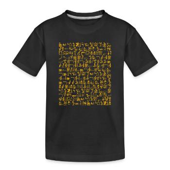 Ägypten Hieroglyphen Orange Muster Kunst Antik - Kinder Premium Bio T-Shirt - Schwarz - Vorne