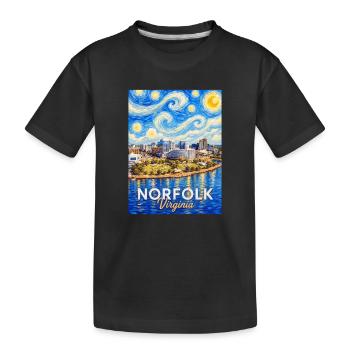 Norfolk Skyline Starry Night - Kids' Premium Organic T-Shirt - black - Front