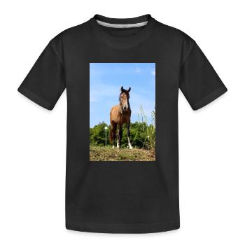 Pferd - Kinder Premium Bio T-Shirt - Schwarz - Vorne