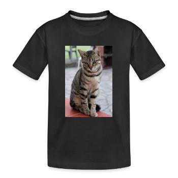 cat, kitten - Kids' Premium Organic T-Shirt - black - Front