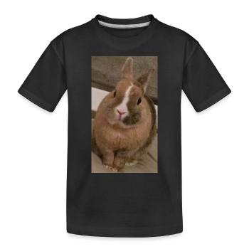 Rabbit - Kids' Premium Organic T-Shirt - black - Front