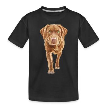 Labrador Retriever - Kinder Premium Bio T-Shirt - Schwarz - Vorne