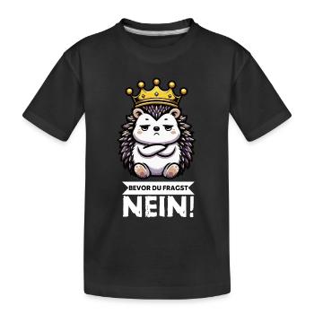Bevor Du Fragst Igel Igelliebhaber Igelfan Stachel - Kinder Premium Bio T-Shirt - Schwarz - Vorne
