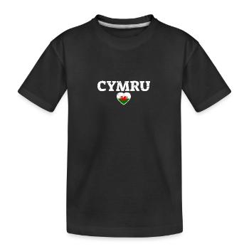 Cymru Wales Vintage Walisische Flagge Waliser - Kinder Premium Bio T-Shirt - Schwarz - Vorne