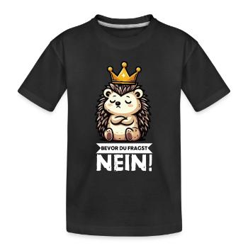 Bevor Du Fragst Igel Igelliebhaber Igelfan Stachel - Kinder Premium Bio T-Shirt - Schwarz - Vorne