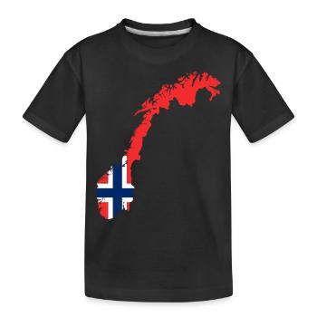 Norway Norway - Kids' Premium Organic T-Shirt - black - Front