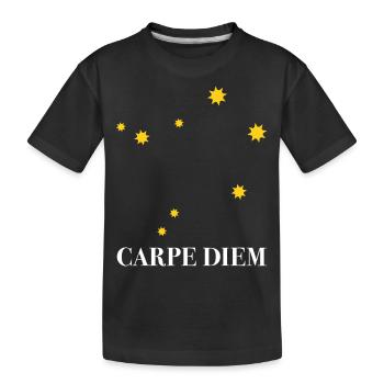 Carpe Diem a utilisé la constellation du jour Balance Balance Ode - T-shirt bio Premium Enfant - noir - Devant