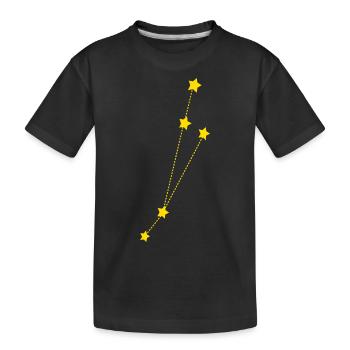 Zodiac Aries - Kids' Premium Organic T-Shirt - black - Front