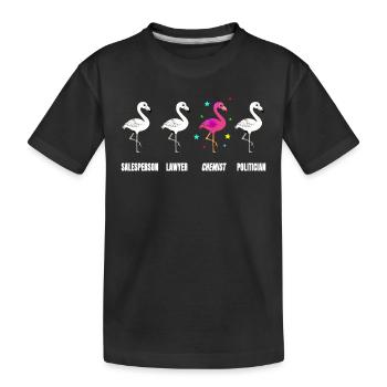 Chemikerin Geschenk Flamingo Chemie Laborantin - Kinder Premium Bio T-Shirt - Schwarz - Vorne