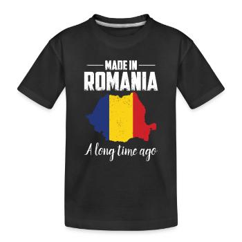 Roumanie Patrie | Roumain Roumain cadeau pays - T-shirt bio Premium Enfant - noir - Devant