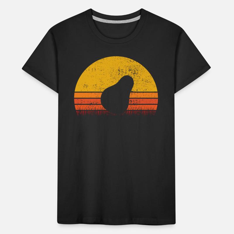 Pear Fruit Fruit Pears Garden Retro Gift Kids' Premium Organic T-Shirt