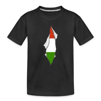 drapeau hongrois fier hongrois patriotique - T-shirt bio Premium Enfant - noir - Devant