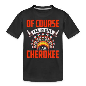 Indianer Ureinwohner Amerika Native American - Kinder Premium Bio T-Shirt - Schwarz - Vorne