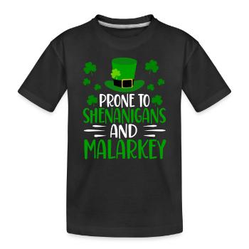 Anfällig Für Blödsinn Und Unfug Irland Gälisch Ire - Kinder Premium Bio T-Shirt - Schwarz - Vorne
