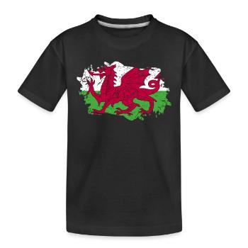 Wales Flag Grunge Wales Flag - Kids' Premium Organic T-Shirt - black - Front