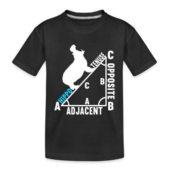 Mathe Mathelehrer - Kinder Premium Bio T-Shirt - Schwarz - Vorne