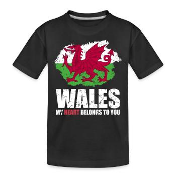Drapeau du Pays de Galles - T-shirt bio Premium Enfant - noir - Devant