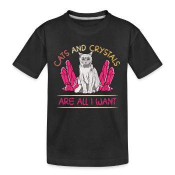Cristaux et pierres de guérison par les cristaux - T-shirt bio Premium Enfant - noir - Devant