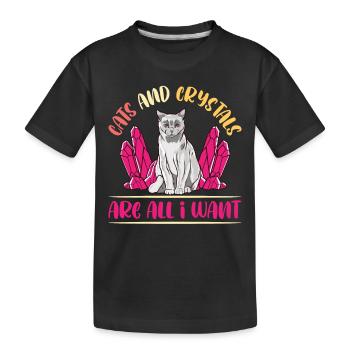 Cristaux et pierres de guérison par les cristaux - T-shirt bio Premium Enfant - noir - Devant