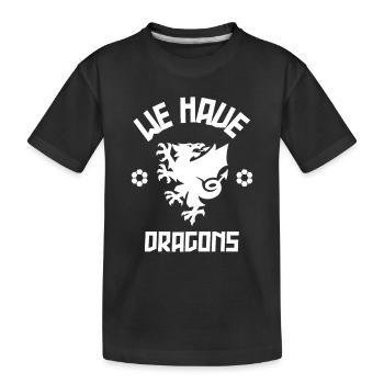 We Have Dragons - Wales Football Gift - Kids' Premium Organic T-Shirt - black - Front