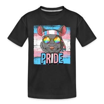 Fierté LGBTQ Transgender Costume Costume Mois de la fierté - T-shirt bio Premium Enfant - noir - Devant