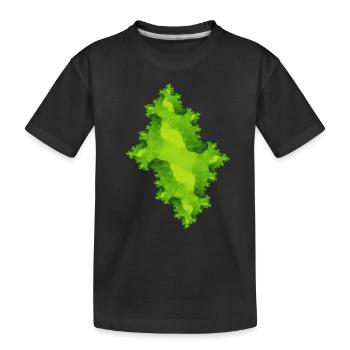 Vert fractal - T-shirt bio Premium Enfant - noir - Devant