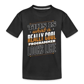 What A Really Cool Programmer Looks Like Coder - Kinder Premium Bio T-Shirt - Schwarz - Vorne