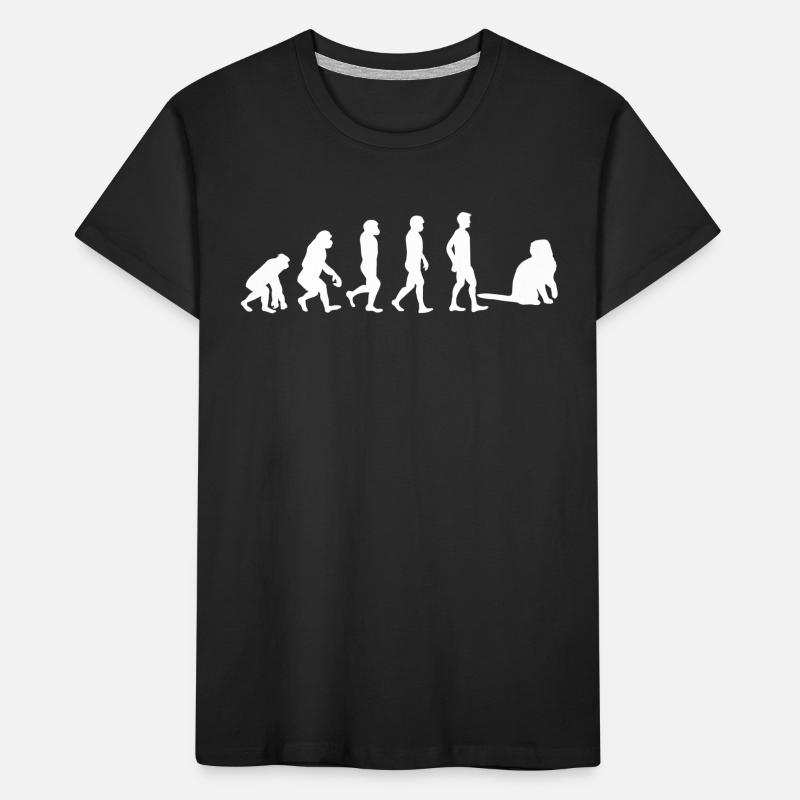 Scottish Fold Scottish Fold Evolution Kids' Premium Organic T-Shirt