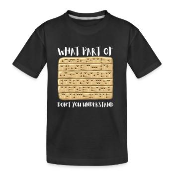 Assyrian Mythology Sumerian Mesopotamia - Kinder Premium Bio T-Shirt - Schwarz - Vorne