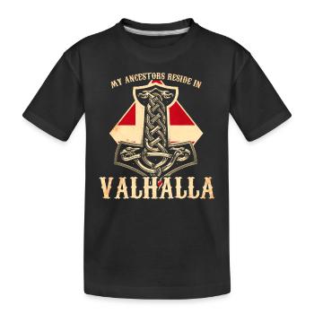 My ancestors reside in Valhalla - Denmark - Kids' Premium Organic T-Shirt - black - Front