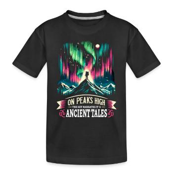 Polarlicht-aurora-verfolger Alaska Wilderness - Kinder Premium Bio T-Shirt - Schwarz - Vorne