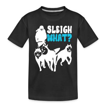 Traîneau Chiens de traîneau - T-shirt bio Premium Enfant - noir - Devant