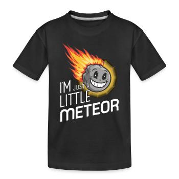 Stargazing And Meteor Shower Enthusiast - Kinder Premium Bio T-Shirt - Schwarz - Vorne