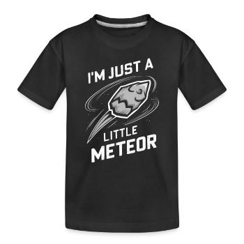 Stargazing And Meteor Shower Enthusiast - Kinder Premium Bio T-Shirt - Schwarz - Vorne