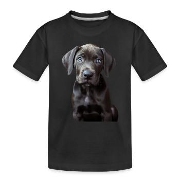 Deutsche Dogge - Kinder Premium Bio T-Shirt - Schwarz - Vorne