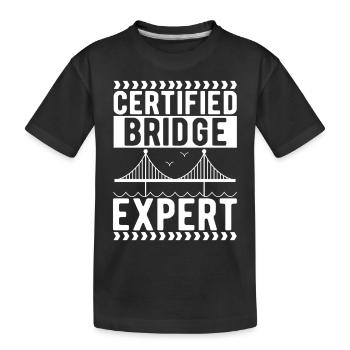 Ingénieur des ponts Construction de ponts - T-shirt bio Premium Enfant - noir - Devant