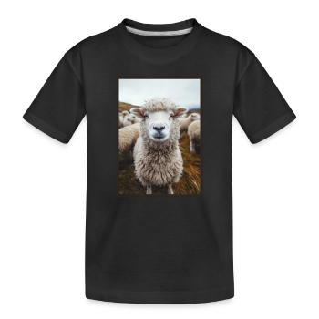 Sheep Sheep - Kids' Premium Organic T-Shirt - black - Front