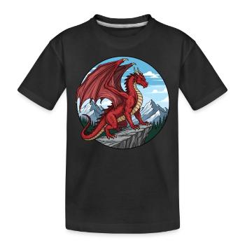 Dragon de la falaise rouge - T-shirt bio Premium Enfant - noir - Devant