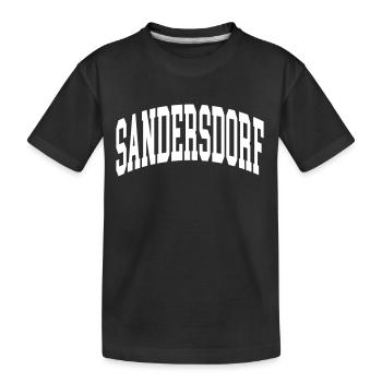 Canton de Sandersdorf - T-shirt bio Premium Enfant - noir - Devant