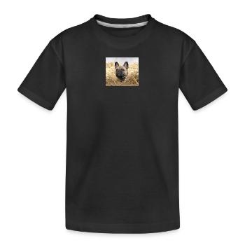französische Bulldogge Ferien auf dem Bauernhof - Kinder Premium Bio T-Shirt - Schwarz - Vorne