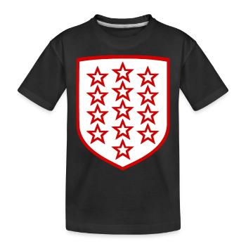 The Canton of Valais - Kids' Premium Organic T-Shirt - black - Front