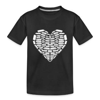 Many Harmonica Instruments Music Instrument Player - Kinder Premium Bio T-Shirt - Schwarz - Vorne