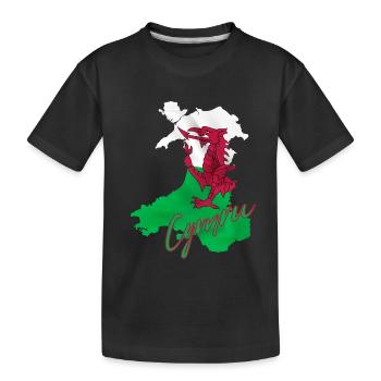 Flagge von Wales, walisischer Stolz - Kinder Premium Bio T-Shirt - Schwarz - Vorne