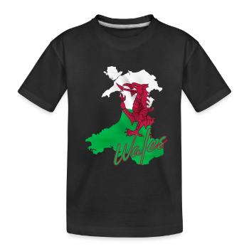 Flagge von Wales, walisischer Stolz - Kinder Premium Bio T-Shirt - Schwarz - Vorne