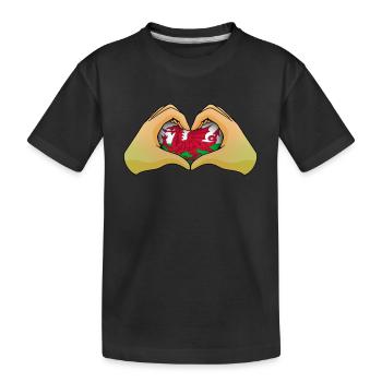 Pays de Galles - T-shirt bio Premium Enfant - noir - Devant