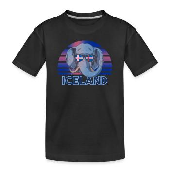 Islande - T-shirt bio Premium Enfant - noir - Devant